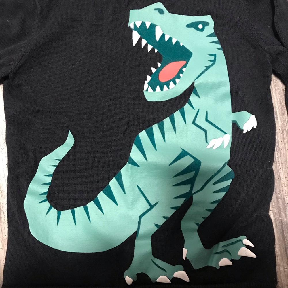 2/20 H&M 6-8Y 🦖 Dino youth sweater Excellent Used Condition - Picture 2 of 3